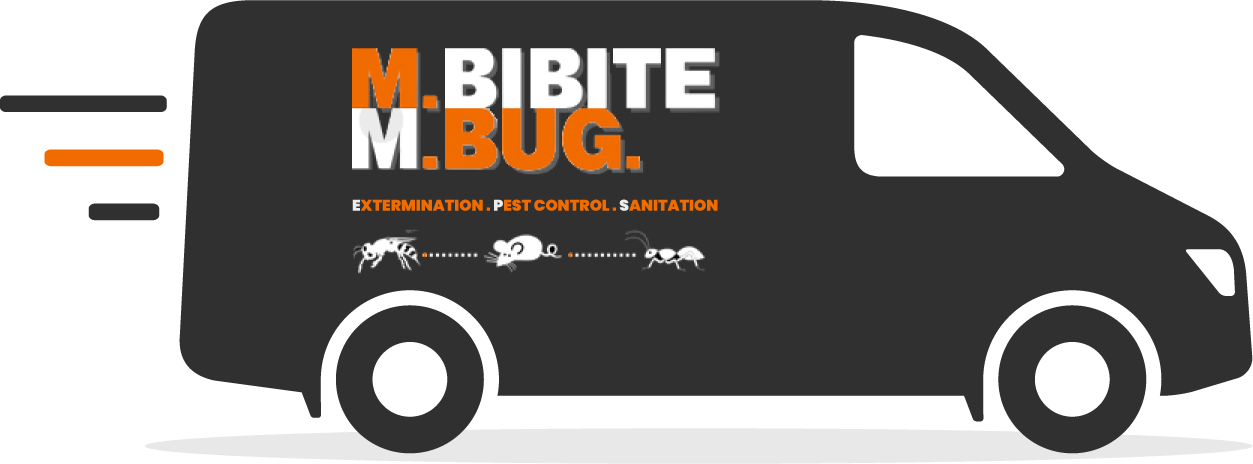 Logo Monsieur Bibite