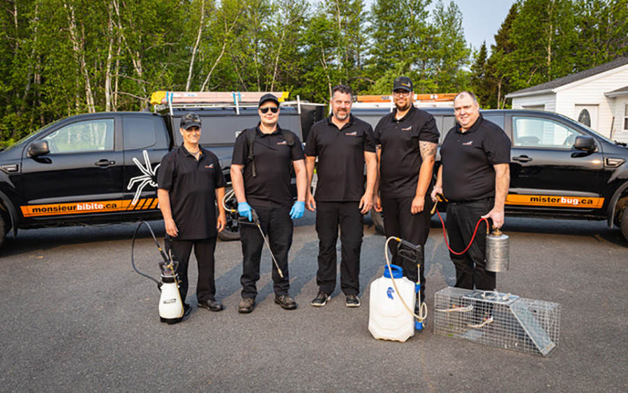 Exterminateur certifié Nouveau-Brunswick